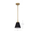 Pendant Nuvo 60-7408 Dover - 1 Light - Small Pendant - Black with Vintage Brass Nuvo