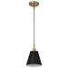 Pendant Nuvo 60-7408 Dover - 1 Light - Small Pendant - Black with Vintage Brass Nuvo