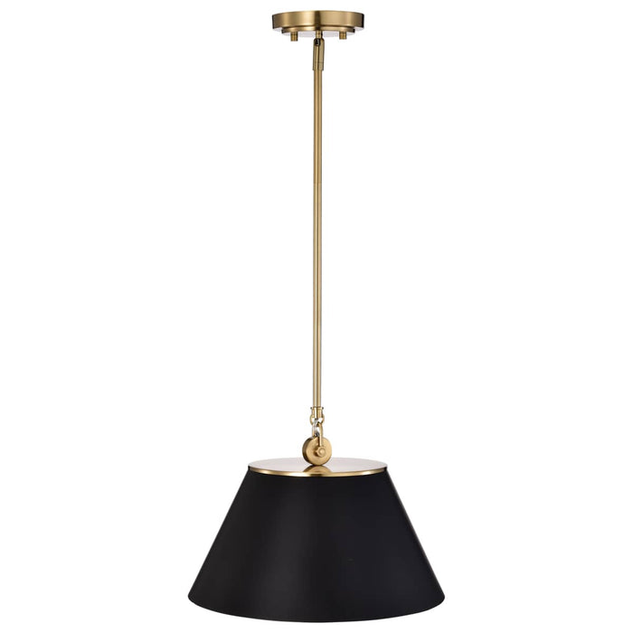 Pendant Nuvo 60-7411 Dover - 1 Light - Medium Pendant - Black with Vintage Brass Nuvo