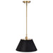 Pendant Nuvo 60-7411 Dover - 1 Light - Medium Pendant - Black with Vintage Brass Nuvo