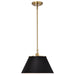 Pendant Nuvo 60-7411 Dover - 1 Light - Medium Pendant - Black with Vintage Brass Nuvo
