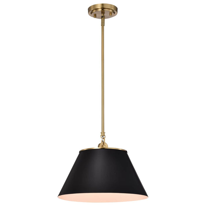 Pendant Nuvo 60-7411 Dover - 1 Light - Medium Pendant - Black with Vintage Brass Nuvo