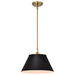 Pendant Nuvo 60-7411 Dover - 1 Light - Medium Pendant - Black with Vintage Brass Nuvo