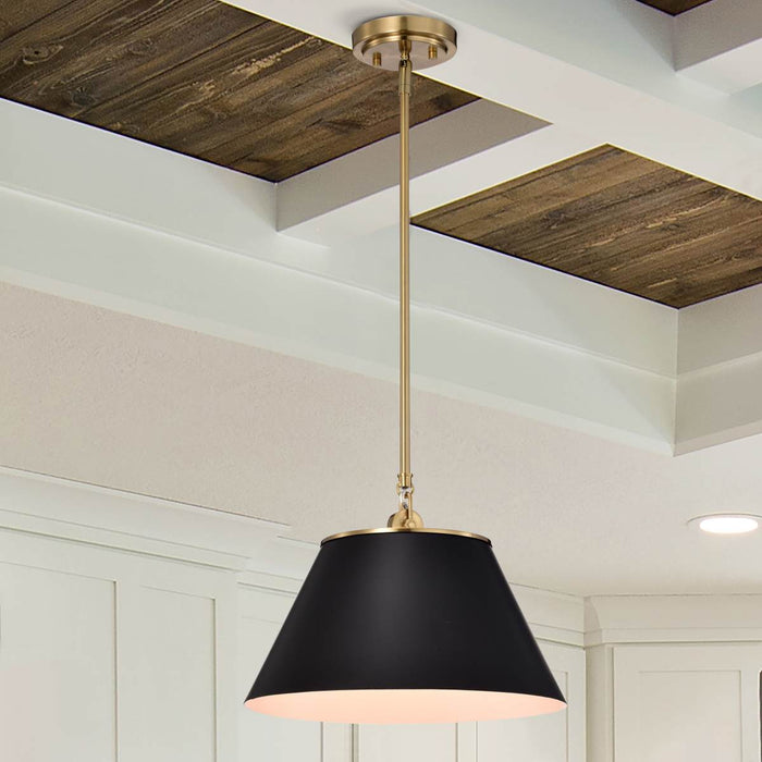 Pendant Nuvo 60-7411 Dover - 1 Light - Medium Pendant - Black with Vintage Brass Nuvo