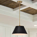 Pendant Nuvo 60-7411 Dover - 1 Light - Medium Pendant - Black with Vintage Brass Nuvo