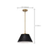 Pendant Nuvo 60-7411 Dover - 1 Light - Medium Pendant - Black with Vintage Brass Nuvo