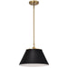 Pendant Nuvo 60-7411 Dover - 1 Light - Medium Pendant - Black with Vintage Brass Nuvo