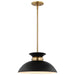 Pendant Nuvo 60-7460 Perkins - 1 Light - Small Pendant - Matte Black with Burnished Brass Nuvo