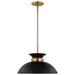 Pendant Nuvo 60-7460 Perkins - 1 Light - Small Pendant - Matte Black with Burnished Brass Nuvo