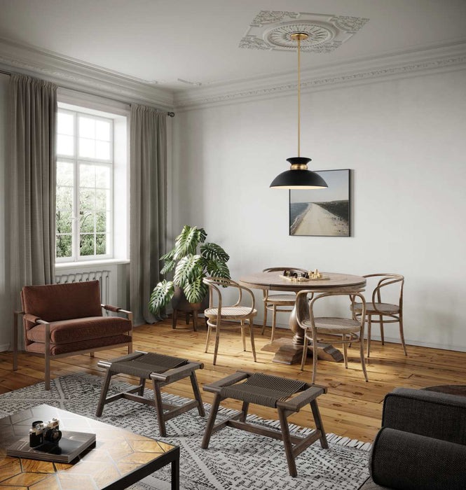 Pendant Nuvo 60-7460 Perkins - 1 Light - Small Pendant - Matte Black with Burnished Brass Nuvo