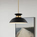 Pendant Nuvo 60-7460 Perkins - 1 Light - Small Pendant - Matte Black with Burnished Brass Nuvo