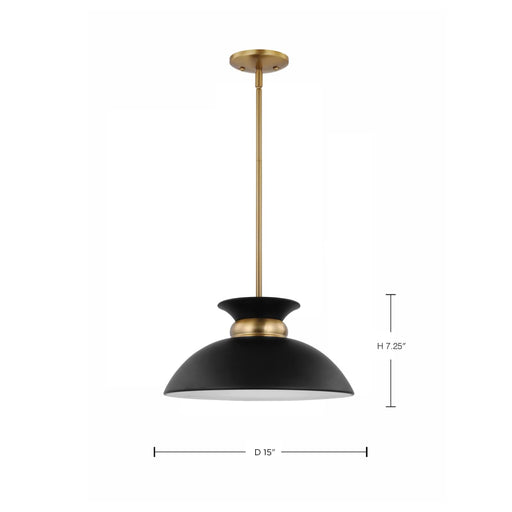 Pendant Nuvo 60-7460 Perkins - 1 Light - Small Pendant - Matte Black with Burnished Brass Nuvo