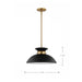 Pendant Nuvo 60-7460 Perkins - 1 Light - Small Pendant - Matte Black with Burnished Brass Nuvo