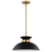 Pendant Nuvo 60-7460 Perkins - 1 Light - Small Pendant - Matte Black with Burnished Brass Nuvo