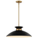 Pendant Nuvo 60-7461 Perkins - 1 Light - Medium Pendant - Matte Black with Burnished Brass Nuvo