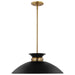 Pendant Nuvo 60-7461 Perkins - 1 Light - Medium Pendant - Matte Black with Burnished Brass Nuvo
