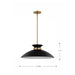 Pendant Nuvo 60-7461 Perkins - 1 Light - Medium Pendant - Matte Black with Burnished Brass Nuvo