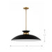 Pendant Nuvo 60-7462 Perkins - 1 Light - Large Pendant - Matte Black with Burnished Brass Nuvo