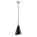 Pendant Nuvo 60-7470 Tango - 1 Light - Small Pendant - Matte Black with Burnished Brass Nuvo