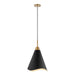 Pendant Nuvo 60-7473 Tango - 1 Light - Medium Pendant - Matte Black with Burnished Brass Nuvo