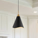 Pendant Nuvo 60-7473 Tango - 1 Light - Medium Pendant - Matte Black with Burnished Brass Nuvo