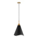 Pendant Nuvo 60-7473 Tango - 1 Light - Medium Pendant - Matte Black with Burnished Brass Nuvo