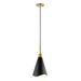 Pendant Nuvo 60-7476 Tango - 1 Light - Large Pendant - Matte Black with Burnished Brass Nuvo