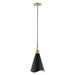 Pendant Nuvo 60-7476 Tango - 1 Light - Large Pendant - Matte Black with Burnished Brass Nuvo