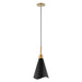 Pendant Nuvo 60-7476 Tango - 1 Light - Large Pendant - Matte Black with Burnished Brass Nuvo