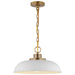 Pendant Nuvo 60-7480 Colony - 1 Light - Small Pendant - Matte White with Burnished Brass Nuvo