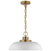 Pendant Nuvo 60-7480 Colony - 1 Light - Small Pendant - Matte White with Burnished Brass Nuvo