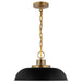 Pendant Nuvo 60-7481 Colony - 1 Light - Small Pendant - Matte Black with Burnished Brass Nuvo
