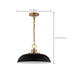 Pendant Nuvo 60-7481 Colony - 1 Light - Small Pendant - Matte Black with Burnished Brass Nuvo