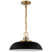 Pendant Nuvo 60-7481 Colony - 1 Light - Small Pendant - Matte Black with Burnished Brass Nuvo