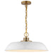 Pendant Nuvo 60-7483 Colony - 1 Light - Medium Pendant - Matte White with Burnished Brass Nuvo