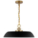 Pendant Nuvo 60-7484 Colony - 1 Light - Medium Pendant - Matte Black with Burnished Brass Nuvo