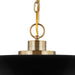 Pendant Nuvo 60-7484 Colony - 1 Light - Medium Pendant - Matte Black with Burnished Brass Nuvo
