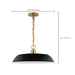 Pendant Nuvo 60-7484 Colony - 1 Light - Medium Pendant - Matte Black with Burnished Brass Nuvo