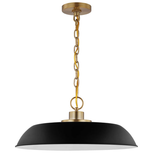 Pendant Nuvo 60-7484 Colony - 1 Light - Medium Pendant - Matte Black with Burnished Brass Nuvo