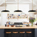 Pendant Nuvo 60-7487 Colony - 1 Light - Large Pendant - Matte Black with Burnished Brass Nuvo
