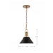 Pendant Nuvo 60-7521 Outpost - 1 Light - Small Pendant - Matte Black with Burnished Brass Nuvo