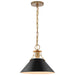 Pendant Nuvo 60-7523 Outpost - 1 Light - Medium Pendant - Matte Black with Burnished Brass Nuvo