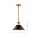 Pendant Nuvo 60-7523 Outpost - 1 Light - Medium Pendant - Matte Black with Burnished Brass Nuvo