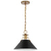 Pendant Nuvo 60-7523 Outpost - 1 Light - Medium Pendant - Matte Black with Burnished Brass Nuvo