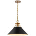 Pendant Nuvo 60-7525 Outpost - 1 Light - Large Pendant - Matte Black with Burnished Brass Nuvo