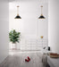 Pendant Nuvo 60-7525 Outpost - 1 Light - Large Pendant - Matte Black with Burnished Brass Nuvo