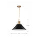 Pendant Nuvo 60-7525 Outpost - 1 Light - Large Pendant - Matte Black with Burnished Brass Nuvo