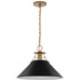 Pendant Nuvo 60-7525 Outpost - 1 Light - Large Pendant - Matte Black with Burnished Brass Nuvo