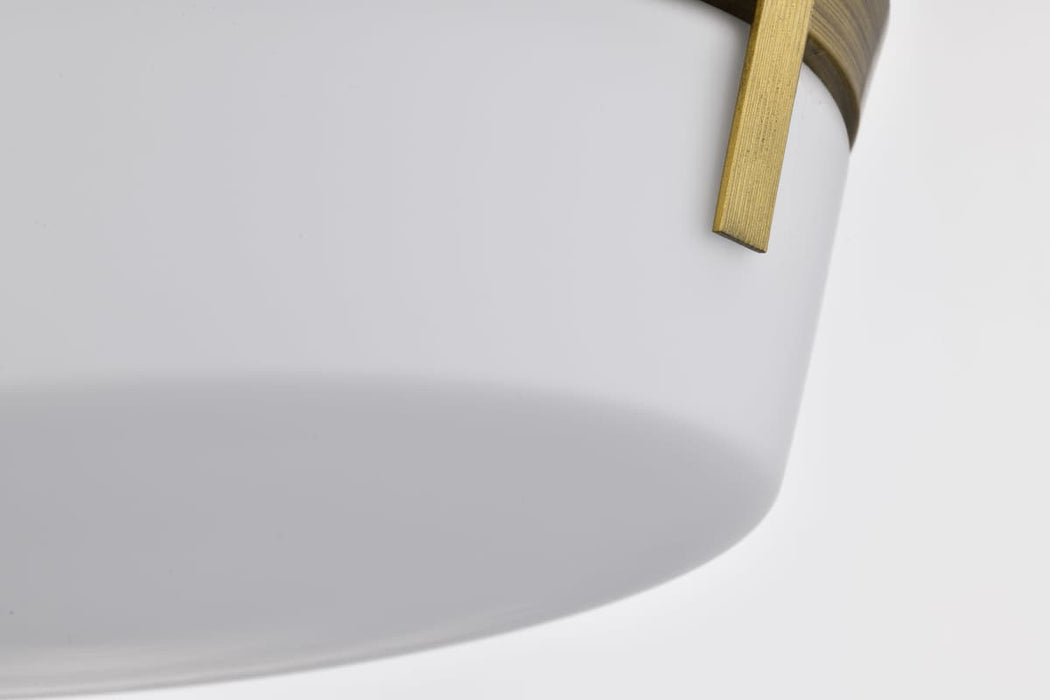Flush Mount Nuvo 60-7750 Rowen 3 Light Flush Mount - Natural Brass Finish - Etched White Glass Nuvo