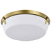 Flush Mount Nuvo 60-7751 Rowen 4 Light Flush Mount - Natural Brass Finish - Etched White Glass Nuvo
